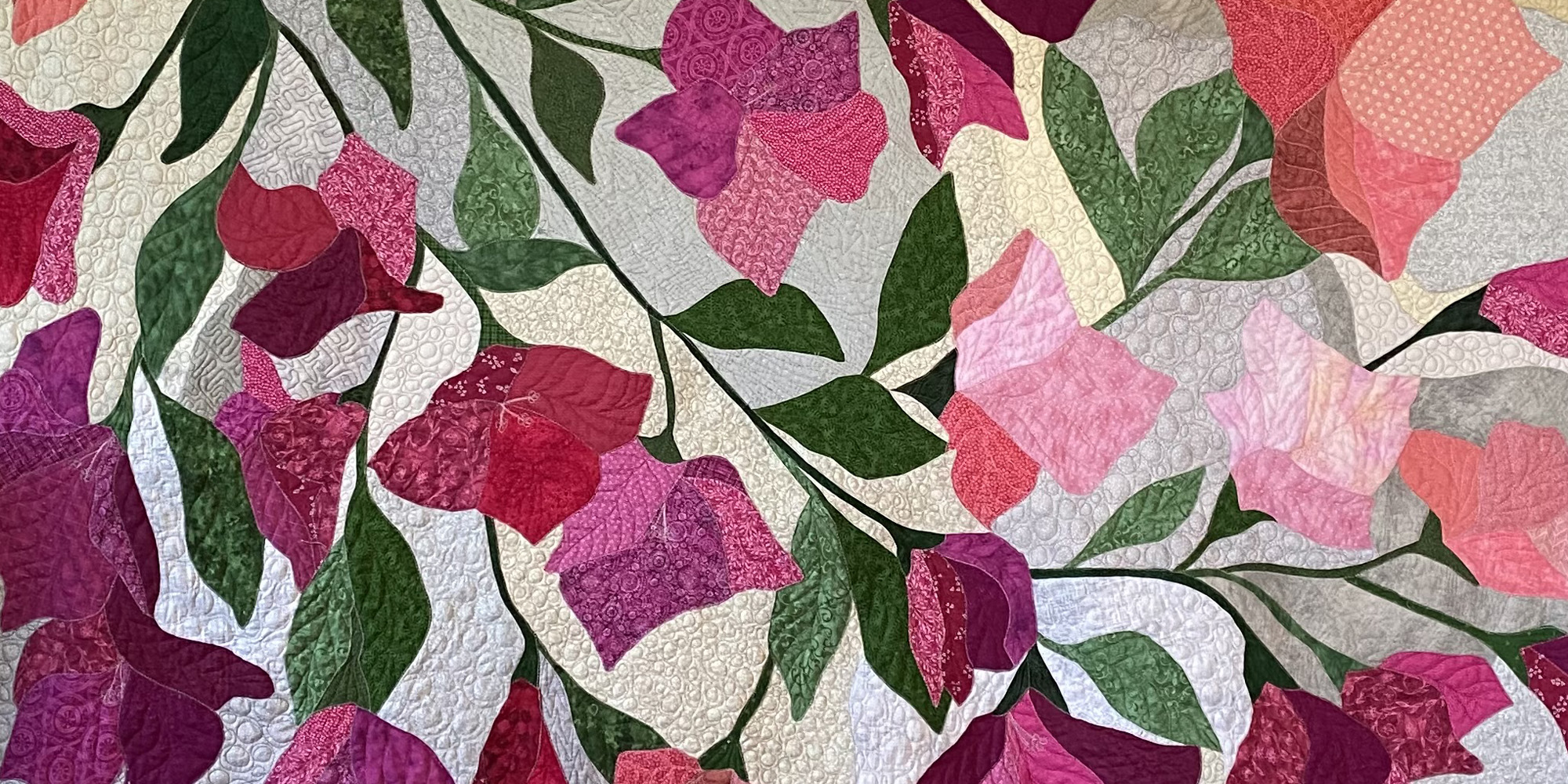 Bougainvillea for Michelle